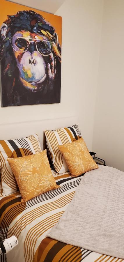 Triangle D'Or - Calme Et Cosy, Appartement 1 Chambre Сен-Кантен Экстерьер фото